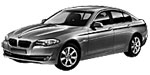 BMW F10 P0404 Fault Code